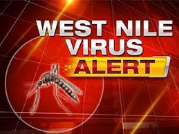 Ordinanza del Sindaco n. 04 del 12/03/2026. Adozione di misure di prevenzione e di controllo della West Nile Disease (Febbre del Nilo Occidentale).